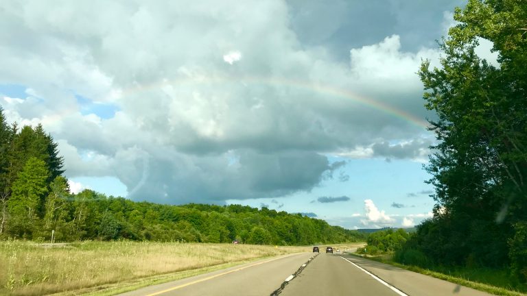 Homeward Bound – post finals blues