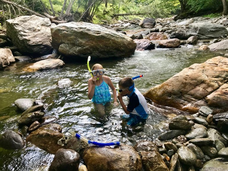 Back Along the Mill Brook