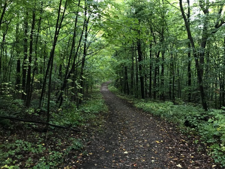 Day 2 – Walking the TAM