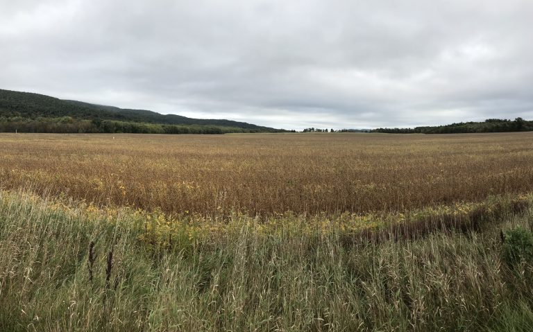 Day 1 – Lake Champlain to Weybridge Hill