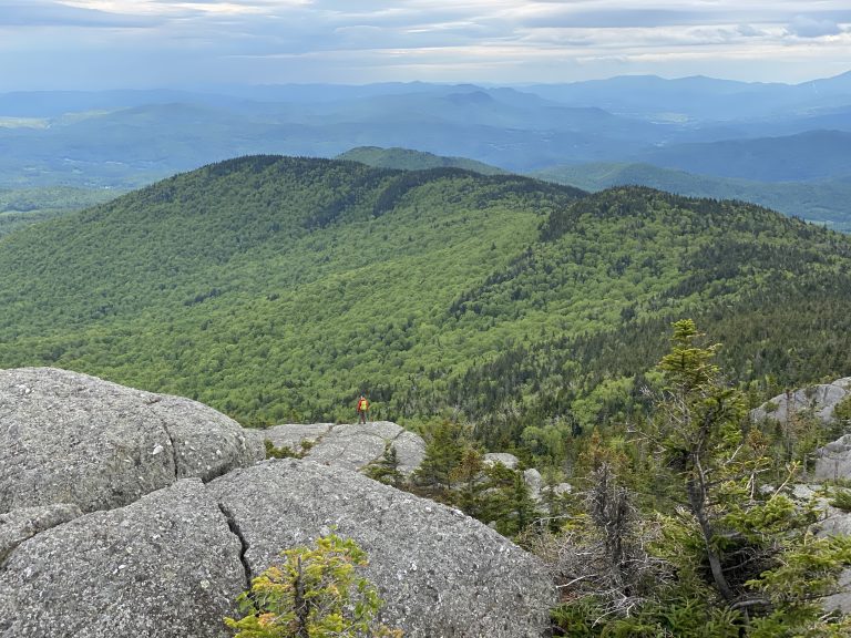 Vermont Forest Industry Summit