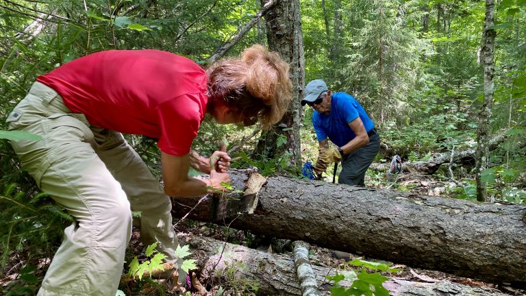 A Day in the Woods with the ADK
