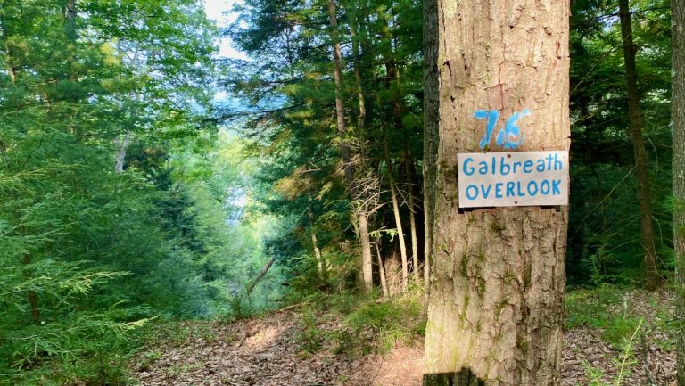 Where the Trail Crosses the Road